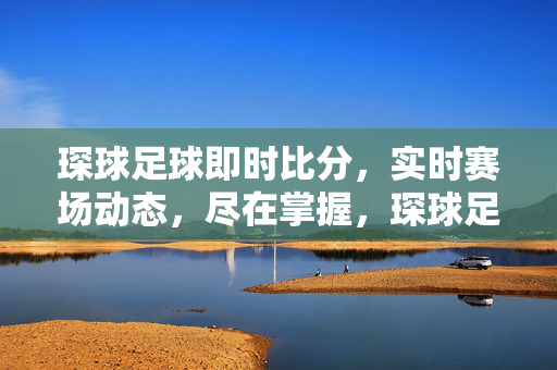 琛球足球即时比分,实时赛场动态,尽在掌握,琛球足球,即时比分与实时赛场动态尽在掌握