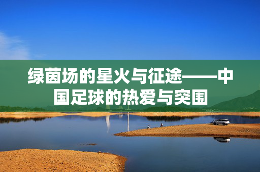 绿茵场的星火与征途——中国足球的热爱与突围