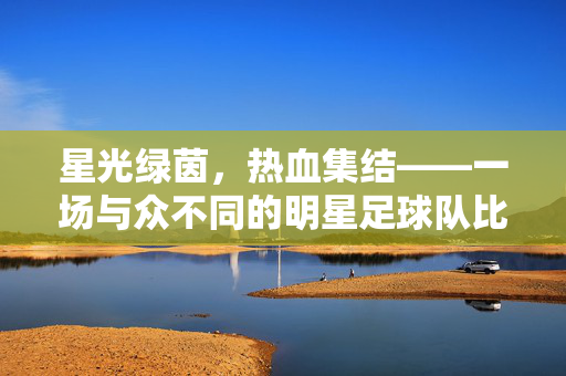 星光绿茵，热血集结——一场与众不同的明星足球队比赛
