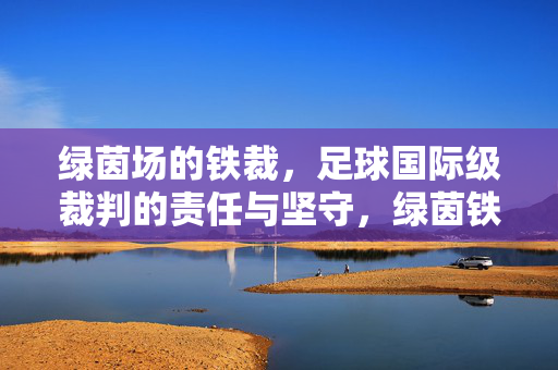 绿茵场的铁裁，足球国际级裁判的责任与坚守，绿茵铁裁，国际级裁判的责任与坚守