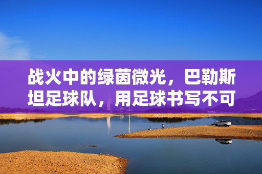 战火中的绿茵微光，巴勒斯坦足球队，用足球书写不可能，战火中的绿茵微光，巴勒斯坦足球队书写不可能