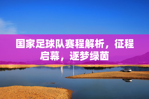 国家足球队赛程解析，征程启幕，逐梦绿茵
