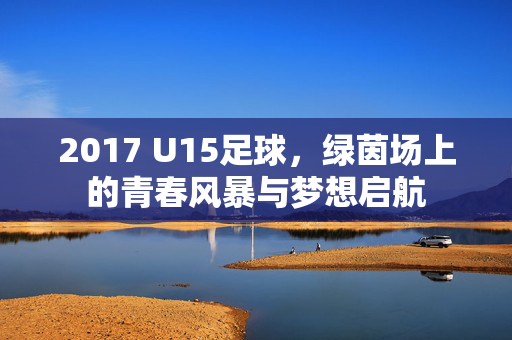 2017 U15足球，绿茵场上的青春风暴与梦想启航