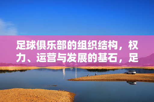 足球俱乐部的组织结构，权力、运营与发展的基石，足球俱乐部组织结构，权力、运营与发展的基石