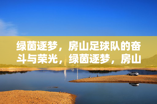 绿茵逐梦，房山足球队的奋斗与荣光，绿茵逐梦，房山足球队的奋斗与荣光