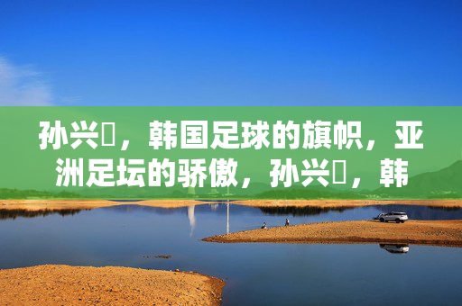 孙兴慜，韩国足球的旗帜，亚洲足坛的骄傲，孙兴慜，韩国足球旗帜，亚洲足坛骄傲
