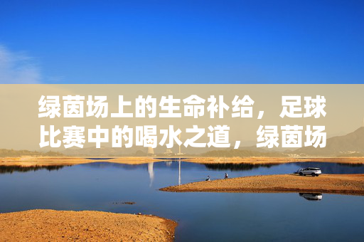 绿茵场上的生命补给，足球比赛中的喝水之道，绿茵场上的生命补给，足球比赛喝水之道