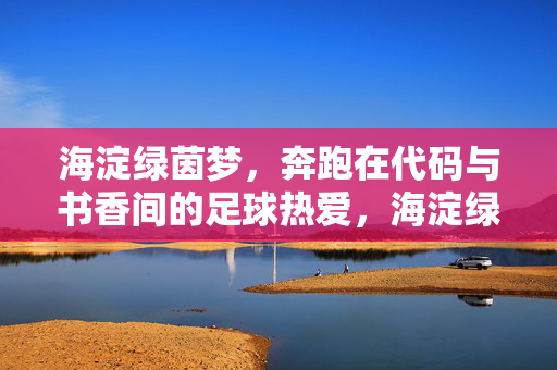 海淀绿茵梦,奔跑在代码与书香间的足球热爱,海淀绿茵梦,代码与书香的足球热爱