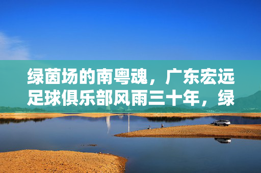 绿茵场的南粤魂，广东宏远足球俱乐部风雨三十年，绿茵南粤魂，广东宏远风雨三十年