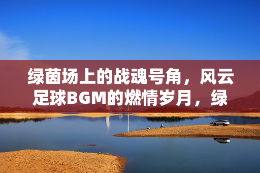 绿茵场上的战魂号角，风云足球BGM的燃情岁月，绿茵战魂号角，足球BGM的燃情岁月