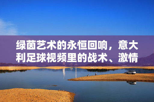 绿茵艺术的永恒回响，意大利足球视频里的战术、激情与传承，绿茵艺术的永恒回响，意大利足球的战术、激情与传承