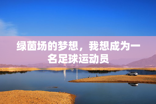 绿茵场的梦想，我想成为一名足球运动员