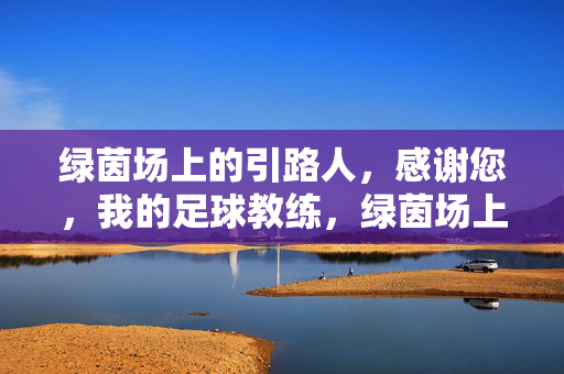 绿茵场上的引路人，感谢您，我的足球教练，绿茵场上的引路人，我的足球教练