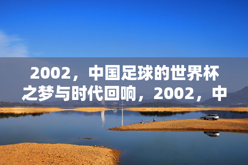 2002,中国足球的世界杯之梦与时代回响,2002,中国足球世界杯之梦与时代回响