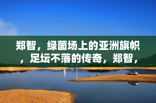 郑智，绿茵场上的亚洲旗帜，足坛不落的传奇，郑智，亚洲旗帜，足坛不落的传奇