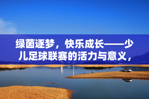 绿茵逐梦，快乐成长——少儿足球联赛的活力与意义，绿茵逐梦，快乐成长——少儿足球联赛的活力与意义