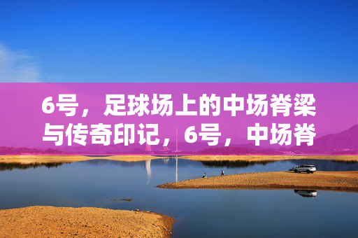 6号，足球场上的中场脊梁与传奇印记，6号，中场脊梁的传奇印记
