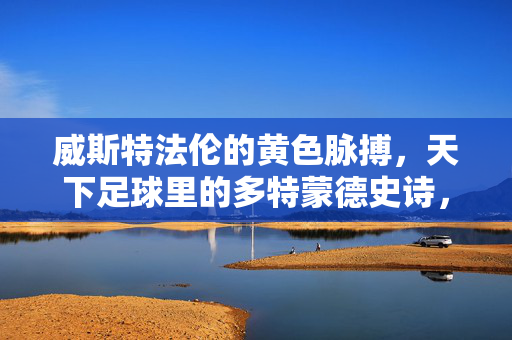 威斯特法伦的黄色脉搏，天下足球里的多特蒙德史诗，威斯特法伦的黄色脉搏，多特蒙德天下足球史诗