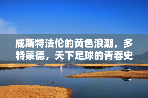 威斯特法伦的黄色浪潮，多特蒙德，天下足球的青春史诗，威斯特法伦的黄色浪潮，多特蒙德的青春史诗