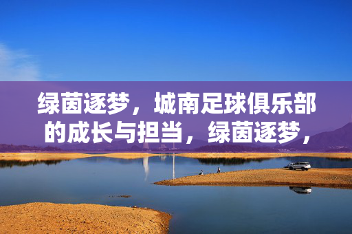 绿茵逐梦，城南足球俱乐部的成长与担当，绿茵逐梦，城南足球俱乐部的成长与担当