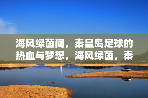 海风绿茵间，秦皇岛足球的热血与梦想，海风绿茵，秦皇岛足球的热血与梦想