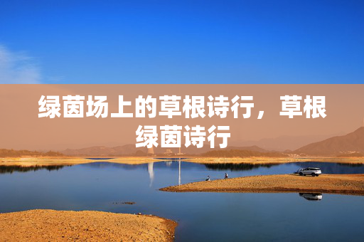 绿茵场上的草根诗行，草根绿茵诗行