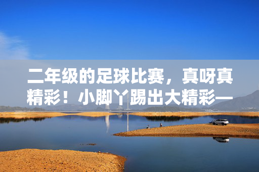 二年级的足球比赛，真呀真精彩！小脚丫踢出大精彩——二年级足球赛