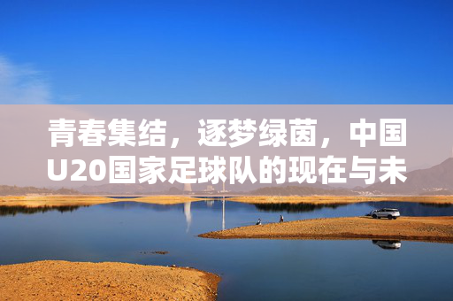 青春集结，逐梦绿茵，中国U20国家足球队的现在与未来，青春集结，逐梦绿茵，中国U20国家足球队的现在与未来
