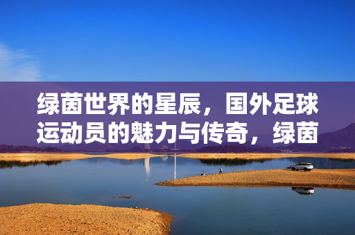 绿茵世界的星辰，国外足球运动员的魅力与传奇，绿茵星辰，国外足球运动员的魅力与传奇