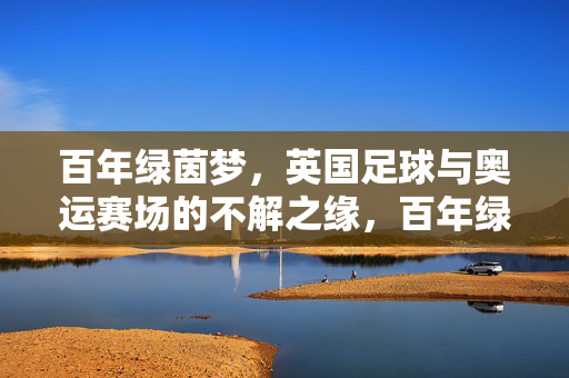 百年绿茵梦,英国足球与奥运赛场的不解之缘,百年绿茵梦,英国足球与奥运赛场的不解之缘