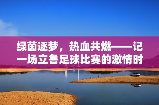 绿茵逐梦,热血共燃——记一场立鲁足球比赛的激情时刻,绿茵逐梦热血燃,立鲁足球赛激情时刻