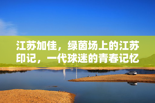 江苏加佳,绿茵场上的江苏印记,一代球迷的青春记忆,江苏加佳,绿茵场上的青春印记
