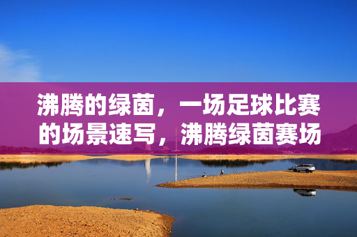 沸腾的绿茵，一场足球比赛的场景速写，沸腾绿茵赛场速写