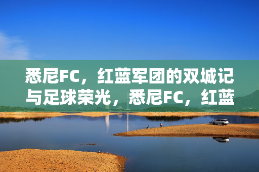 悉尼FC，红蓝军团的双城记与足球荣光，悉尼FC，红蓝军团的双城记与足球荣光