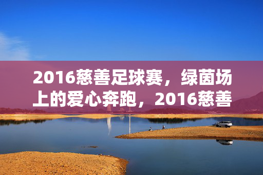 2016慈善足球赛，绿茵场上的爱心奔跑，2016慈善足球赛，绿茵场上的爱心奔跑