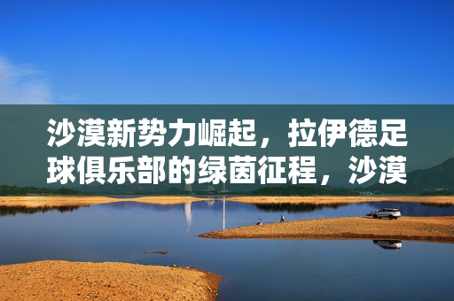 沙漠新势力崛起，拉伊德足球俱乐部的绿茵征程，沙漠新势力拉伊德，绿茵崛起征程
