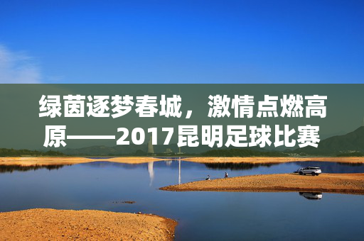 绿茵逐梦春城,激情点燃高原——2017昆明足球比赛纪实,绿茵逐梦春城,2017昆明足球比赛纪实