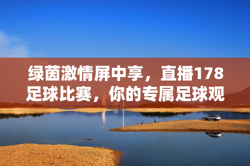 绿茵激情屏中享，直播178足球比赛，你的专属足球观赛主场，178足球直播，绿茵激情，你的专属观赛主场