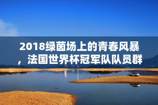 2018绿茵场上的青春风暴，法国世界杯冠军队队员群像，2018绿茵青春风暴，法国世界杯冠军群像