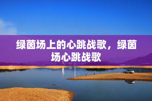 绿茵场上的心跳战歌，绿茵场心跳战歌