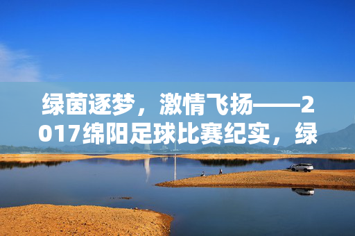 绿茵逐梦，激情飞扬——2017绵阳足球比赛纪实，绿茵逐梦，激情飞扬——2017绵阳足球比赛纪实