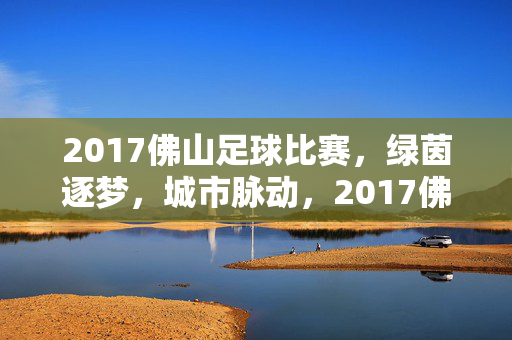 2017佛山足球比赛，绿茵逐梦，城市脉动，2017佛山，绿茵逐梦，城市脉动