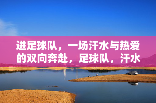 进足球队，一场汗水与热爱的双向奔赴，足球队，汗水与热爱的双向奔赴
