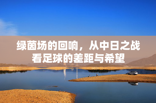 绿茵场的回响，从中日之战看足球的差距与希望