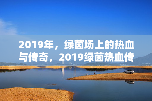 2019年，绿茵场上的热血与传奇，2019绿茵热血传奇