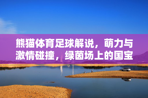 熊猫体育足球解说,萌力与激情碰撞,绿茵场上的国宝级声浪,熊猫体育解说萌力激绿茵,国宝声浪燃足球情