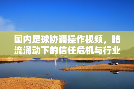 国内足球协调操作视频,暗流涌动下的信任危机与行业反思,暗流涌动,国内足球协调操作视频引发的信任危机与行业反思