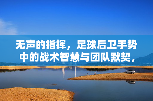 无声的指挥,足球后卫手势中的战术智慧与团队默契,无声的指挥,足球后卫手势中的战术智慧与团队默契