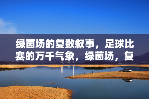 绿茵场的复数叙事，足球比赛的万千气象，绿茵场，复数叙事与万千气象