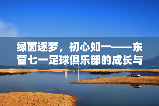 绿茵逐梦，初心如一——东营七一足球俱乐部的成长与坚守，绿茵逐梦，初心如一——东营七一中足球俱乐部的成长与坚守